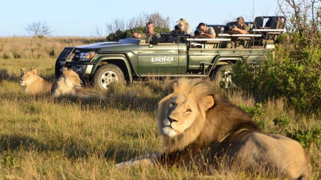 Why Bespoke African Safari Specialists Actually Know What They’re Doing Unlike Everyone Else